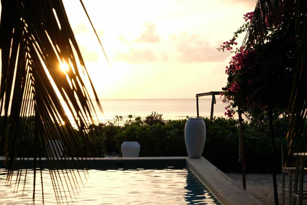 Sharazad Boutique Hotel Jambiani  Ngoại thất bức ảnh